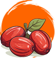 Pure And High-Quality Jujube